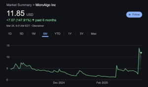 MicroAlgo Inc Market summary