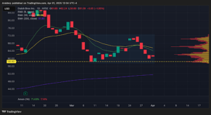 Dutch Bros Inc. Chart